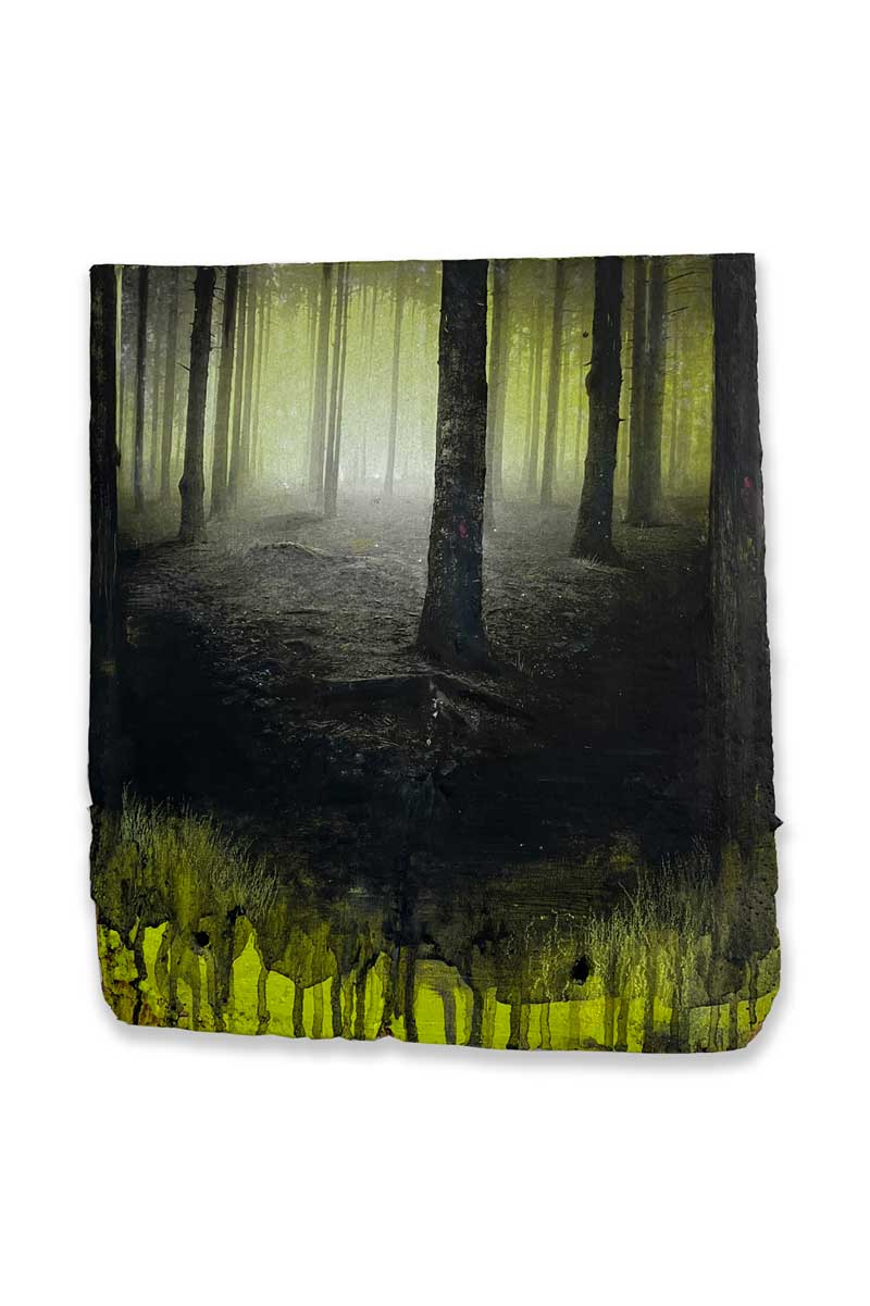 Wald 23/25