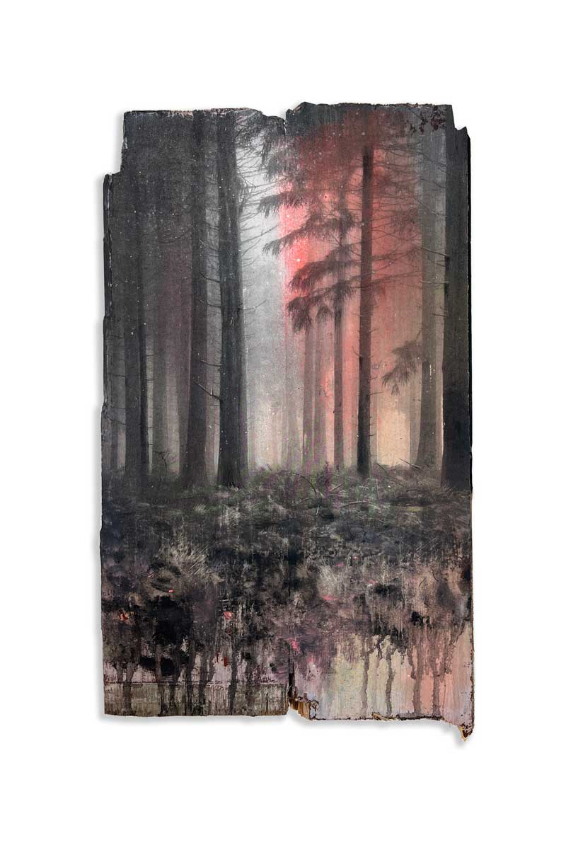 Wald 47/26